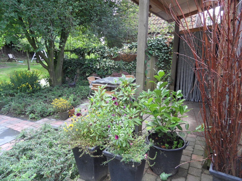 Appartement Regina Garnwerd Pokój zdjęcie